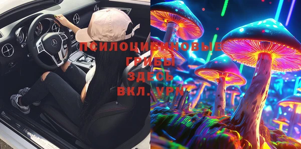 кокс Бородино