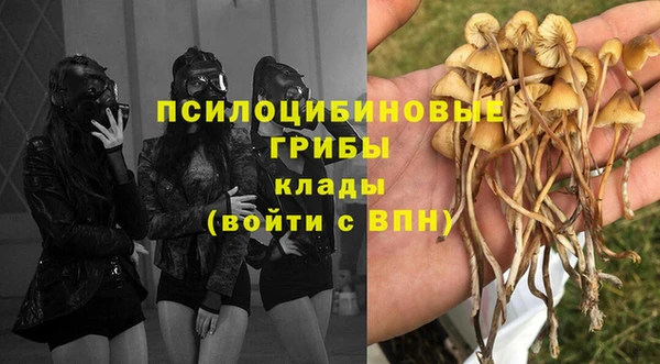кокс Бородино